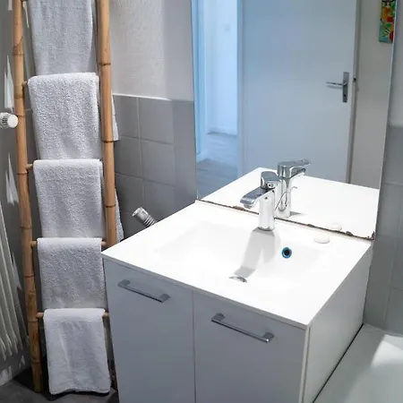 Apartment Mama With Mobile Aircon, Including Free Parking Space At 300 Meters Colmar