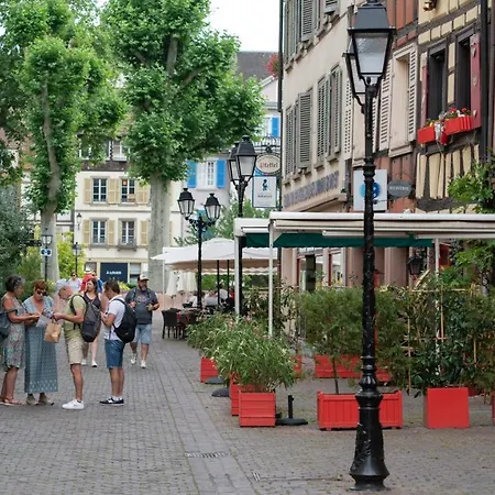 Apartment Mama With Mobile Aircon, Including Free Parking Space At 300 Meters Colmar