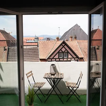 Apartment Mama With Mobile Aircon, Including Free Parking Space At 300 Meters Colmar